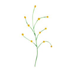 Watercolor branch with yellow berries