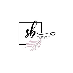 Initial letter SB beauty handwriting logo vector