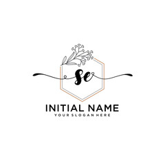 Initial letter SE beauty handwriting logo vector