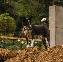A cliff in Bali | Building a new luxury resort