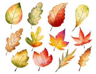 Obraz premium Watercolor Set of autumn Leaves 