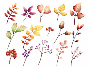 Watercolor Set of autumn Leaves 