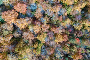 Cascade Lake - Keene, New York