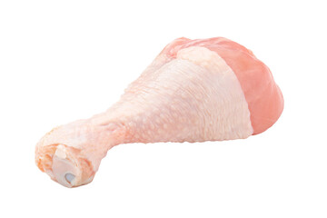 Isolated fresh raw chicken leg on white background