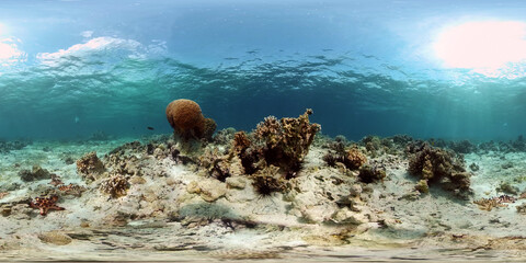 Coral reef underwater with fishes and marine life. Coral reef and tropical fish. Philippines....