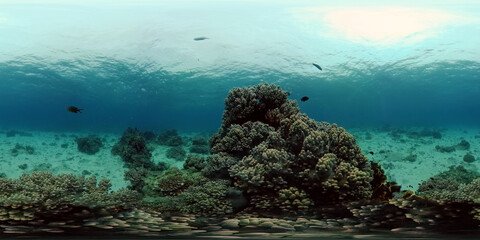 Fototapeta na wymiar Underwater fish reef marine. Tropical colourful underwater seascape. Philippines. Virtual Reality 360.