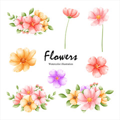 Watercolor flower, spring. Vector illustration.