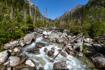 photos taken while trekking in the mountains