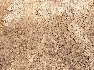 background image of dried and cracked soil. ground pattern with cracks.