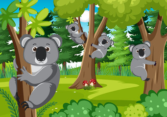 Koalas in the forest background
