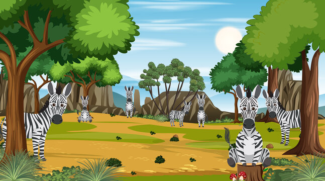 Zebras in the forest scene