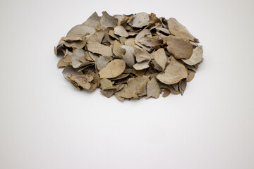 ドライユーカリの葉
Dried eucalyptus leaves