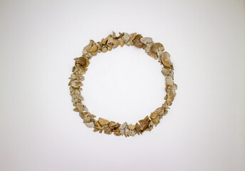 ドライユーカリの葉で描いたサークル
A circle drawn with dried eucalyptus leaves