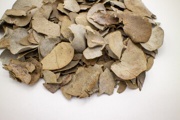 ドライユーカリの葉クローズアップ
Dried eucalyptus leaves, close-up