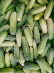 Cucumbers top view, greenhouse cucumbers, long cucumbers, vegetables harvest, food background, place for text