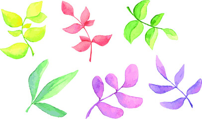 A set of delicate twigs in vector format. Colored branches on a white background. Decor element. Botany. Wedding invitation. Postcard element.