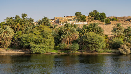 Fototapeta na wymiar On the bank of the river there are thickets of green vegetation, palm trees. A village house is visible on a sandy hill. Reflection on calm water. Egypt. Nile