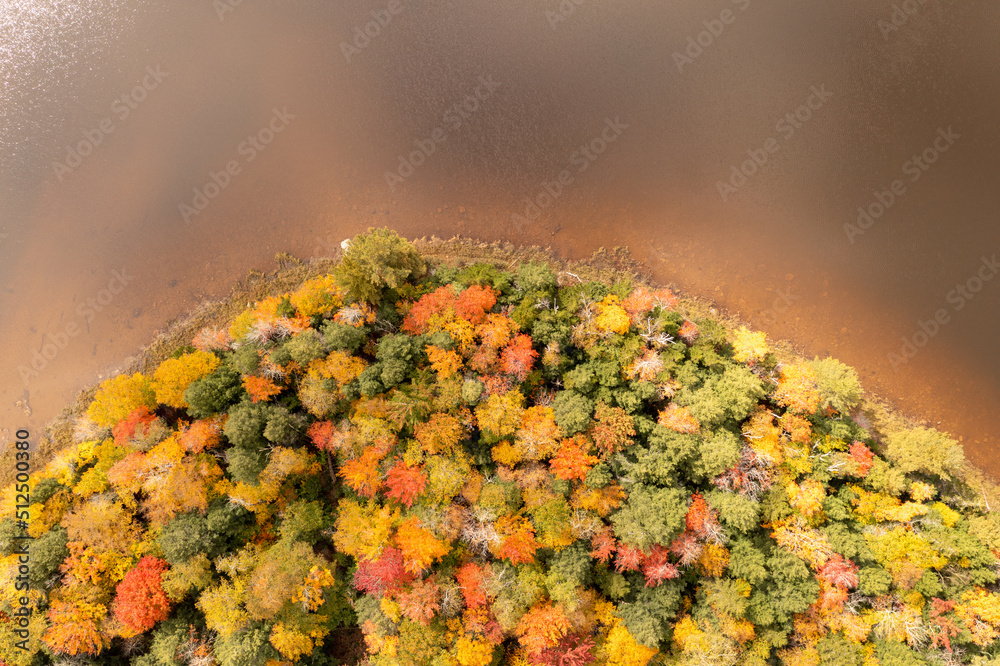 Wall mural peak foilage - lake colgate, new york