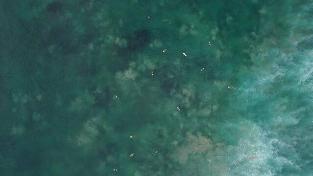 Surfers sit and lie on boards, wait for waves at flat water near shore, top-down aerial shot. Camera fly down, beautiful clouded or turbulent texture of underwater visible from height