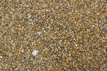 Pebbles of different sizes and colors lie on the ground