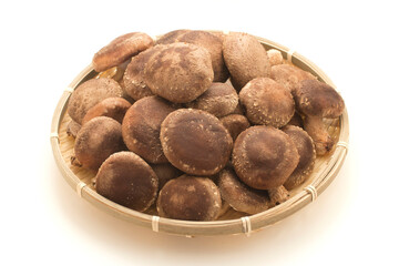 Shiitake mushuroom on white background (Called Shiitake in Japan)