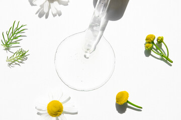 Transparent cosmetic liquid drop with a glass dropper on a white background and healing chamomile flowers, homeopathy and alternative medicine.