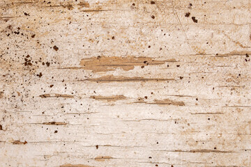 Background old wooden surface covered with paint