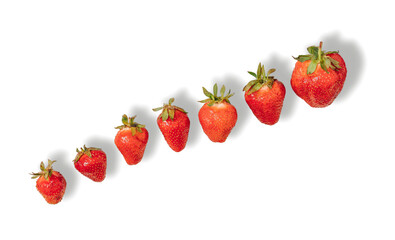 Raw strawberries in a diagonal row on white background
