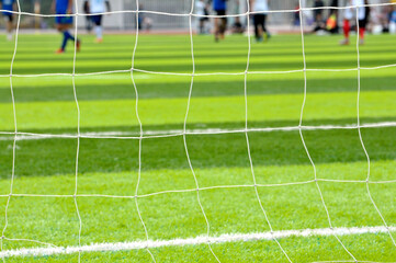 soccer player on the grass