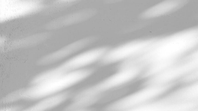Closeup branch tree leaves silhouette shadow motion on wall, abstract background