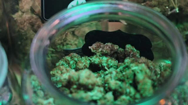 Big green marijuana cannabis CBD CBG tops in a jar. Closeup indoor shot. Alternative medicine. High quality 4k footage