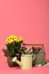 Gardening tools and accessories on pink background