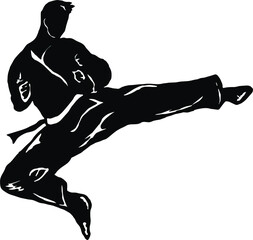 taekwondo silhouette vector