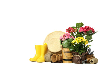 Gardening tools and accessories isolated on white background