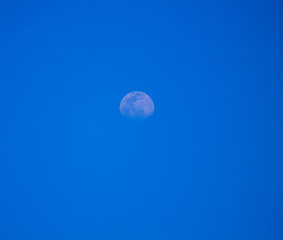 Moon during the daytime