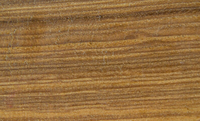 Fototapeta premium Wooden texture of an old dark burnt board for design work and home decoration