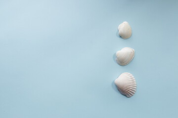 Beautiful seashells on a blue background. Marine background.