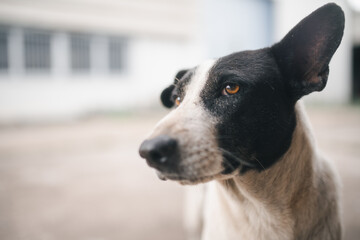 What do you want form me?