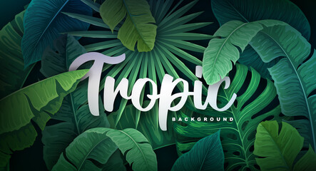 Tropic wild forest background with different tropic leaves. Vector illustration. Summer background