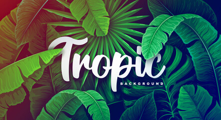 Tropic wild forest background with different tropic leaves. Vector illustration. Summer background