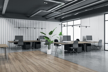 Perspective view on spacious coworking office with grey concrete and wooden floor, dark furniture with modern computers, green plant in white flowerpot and big windows. 3D rendering
