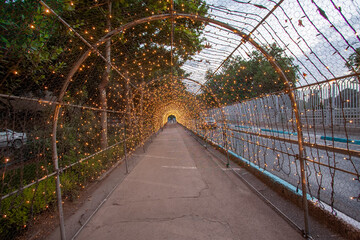 Arch Shape Light Tunnel with Street on the right and tree branches on the left and top created a Christmas atmosfere in Iran