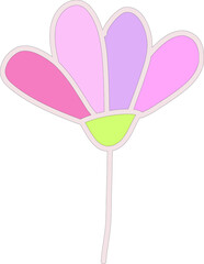 Colorful Cute Flower on a white background