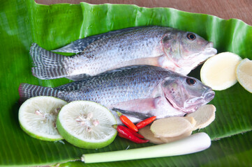 Fresh tilapia fish with lemongrass, lemon and chili on banana leaf.