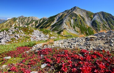 立山連峰　秋の登山