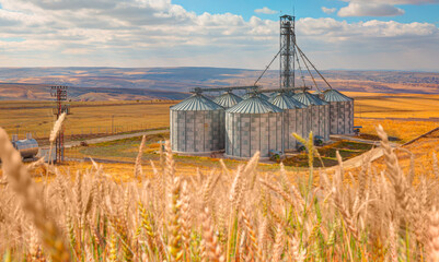 Agricultural Silos for storage and drying of grains, wheat, corn, soy, sunflower - Beautiful...