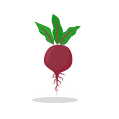 Illustration of beetroot. Beetroot icon. Fruits


