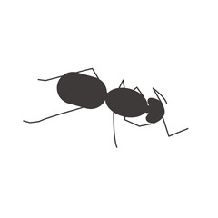 蟻
