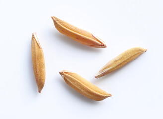 Closeup of organic paddy rice, rice grains isolated on white background.