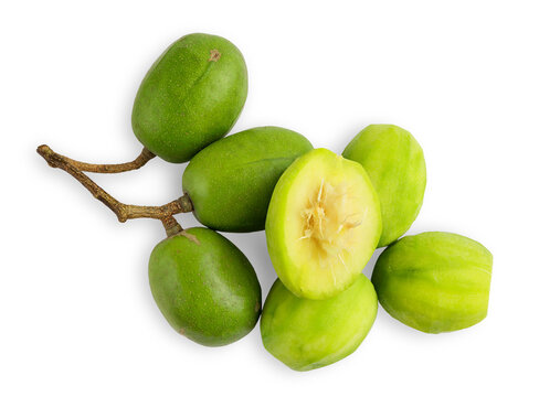 Hog Plum